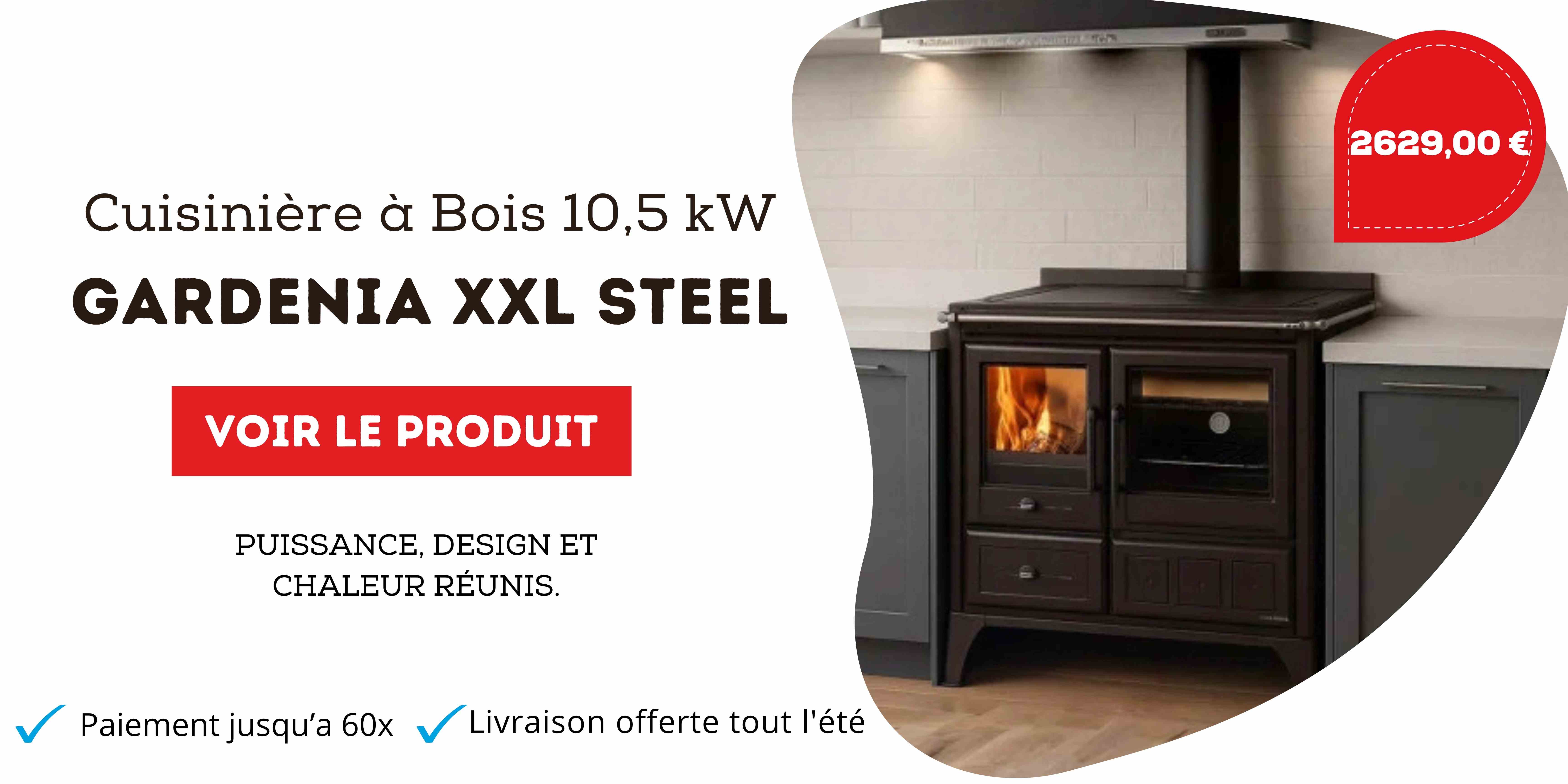 cuisiniere a bois moderne design pas cher